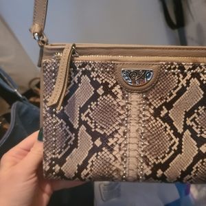 Brighton Snake skin purse